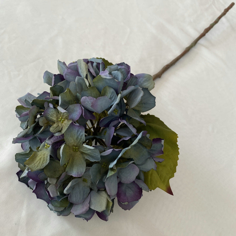 H0011 Hydrangea