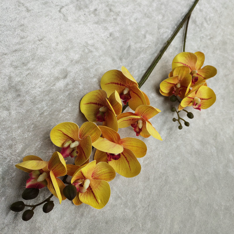 O0018 3D printed phalaenopsis with ten heads and two prongs