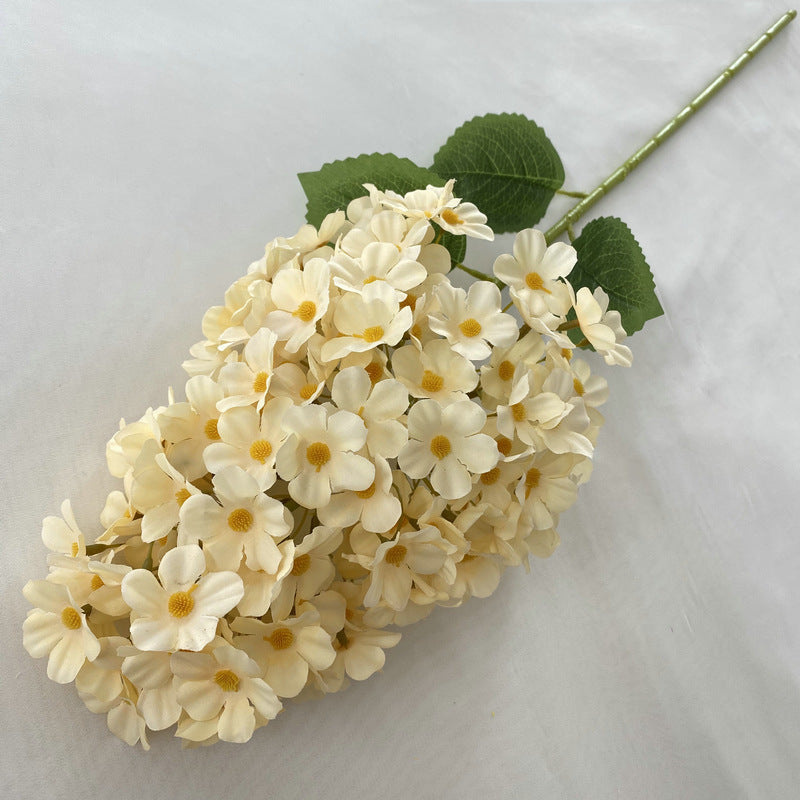 H0041 Hydrangea