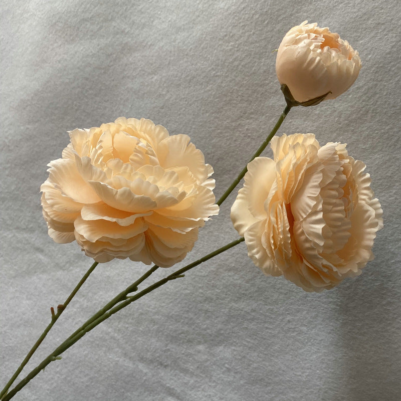 P0039 Brushed Cloth Puff Peony