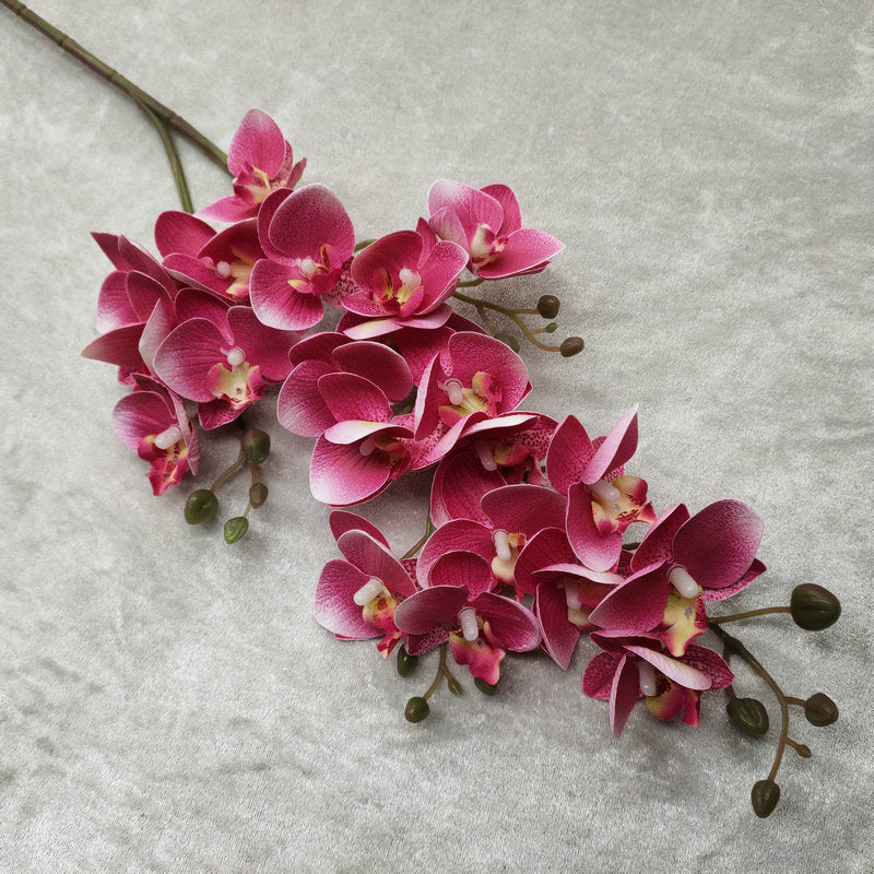 O0015 3D printed twenty-one phalaenopsis