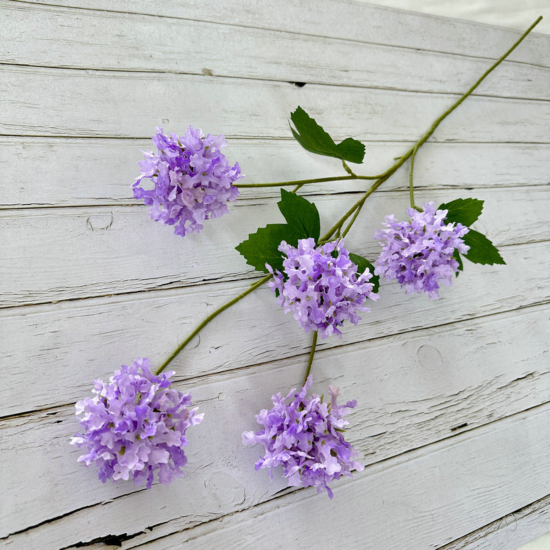 H0014 Hydrangea