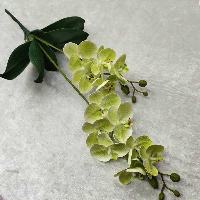 O0016 3D printed double-forked twelve-headed Phalaenopsis with leaves