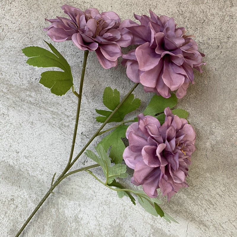 P0019 Three-headed Tianzhu Peony