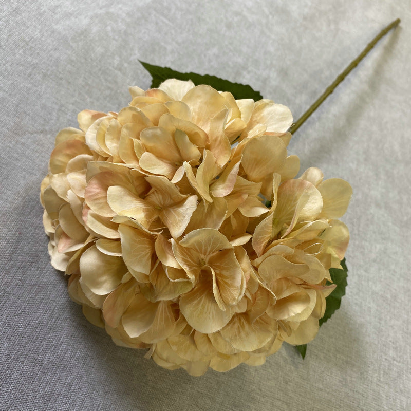 H0016 Hydrangea