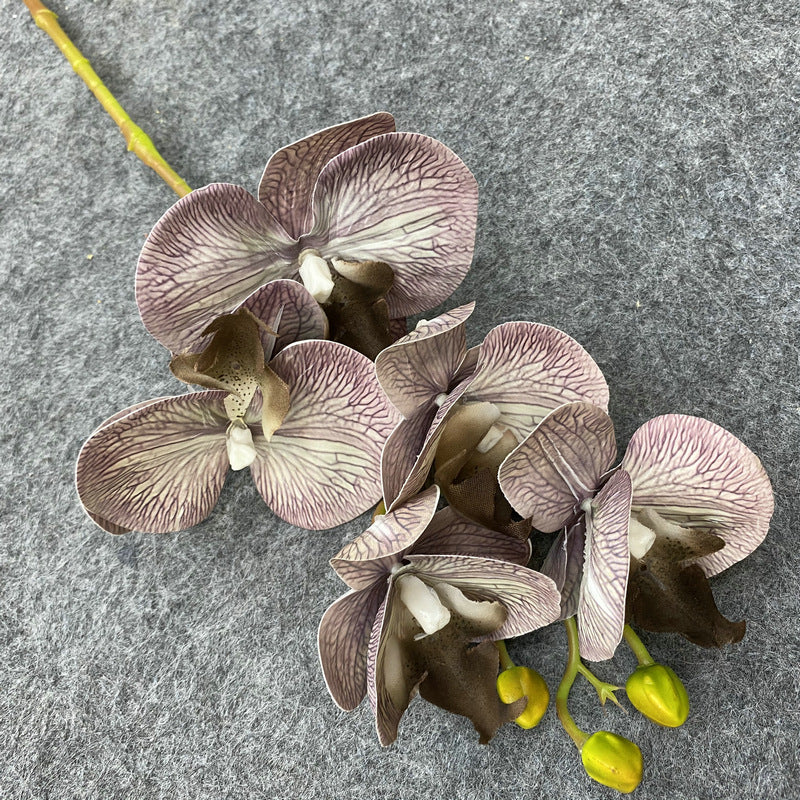 O0004 3D printed 5-head Phalaenopsis