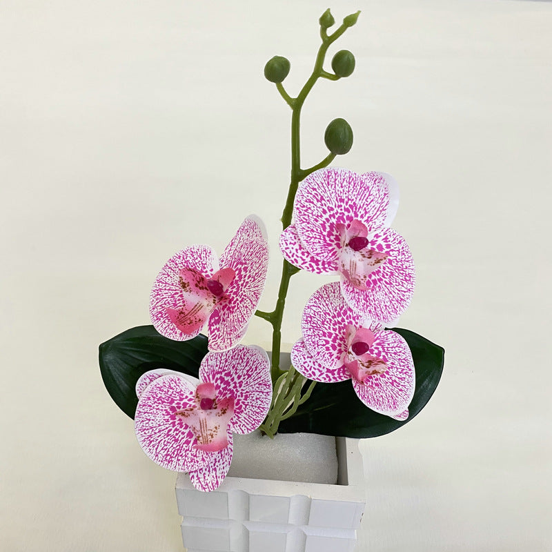 O0014 3D printed LS Phalaenopsis