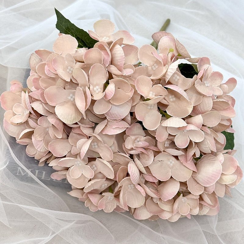 H0007 Hydrangea