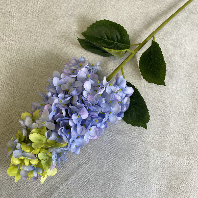 H0009 Hydrangea