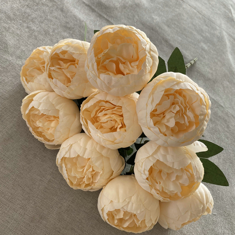 P0025 Ten round peonies