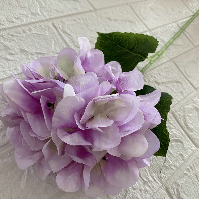 H0026 Hydrangea