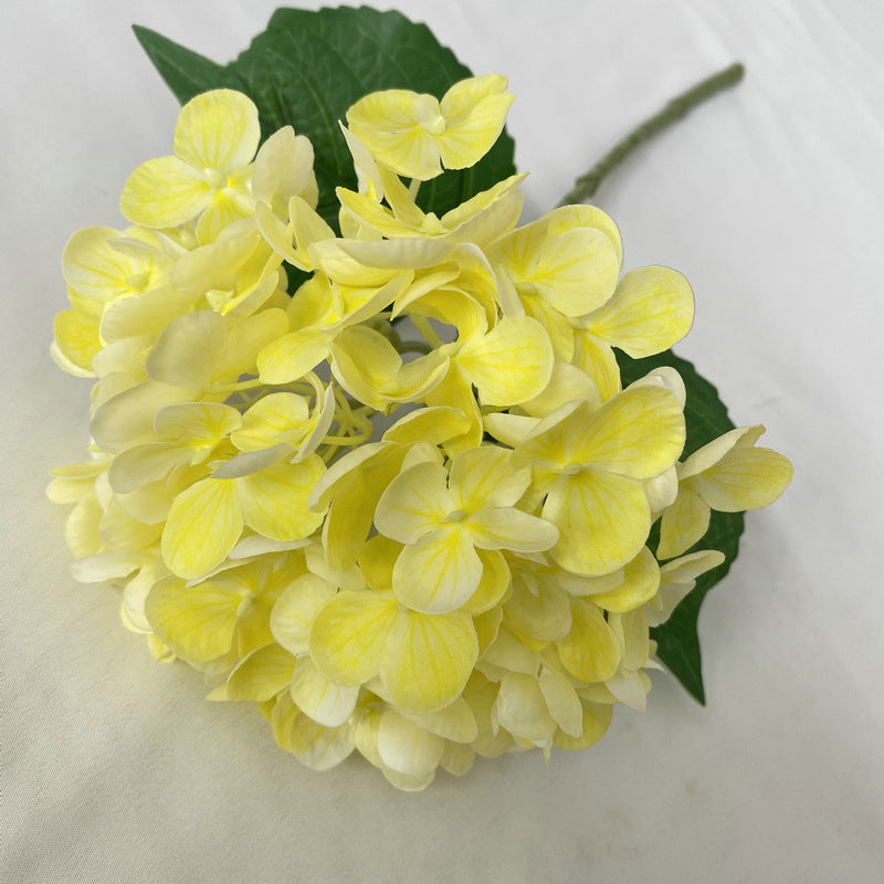 H0021 Hydrangea