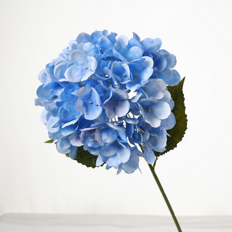 H0040 Hydrangea