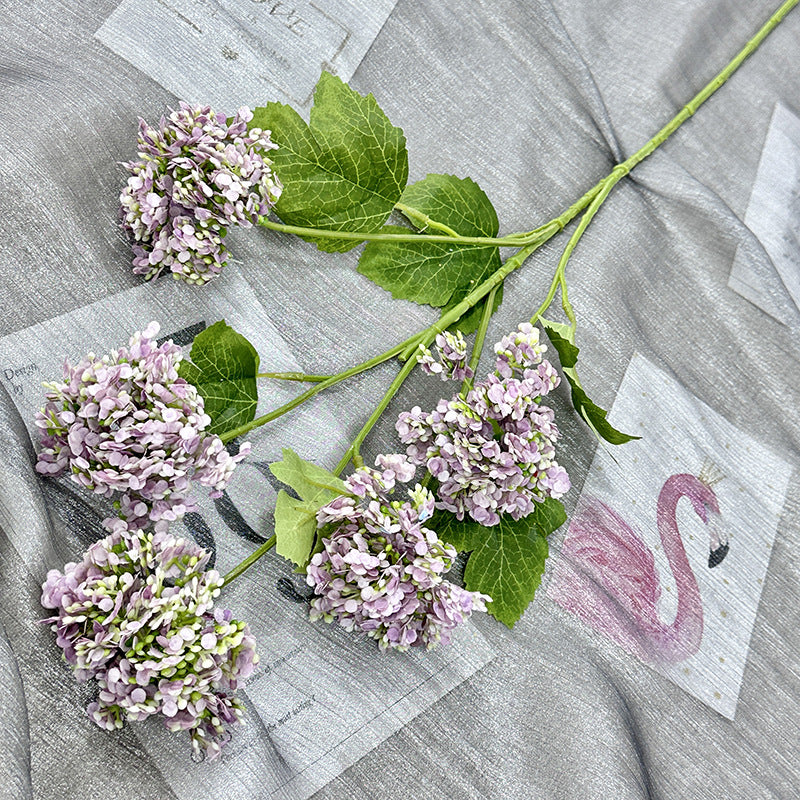 H0005 Hydrangea