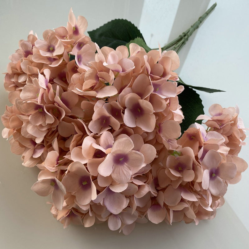 H0006 Hydrangea