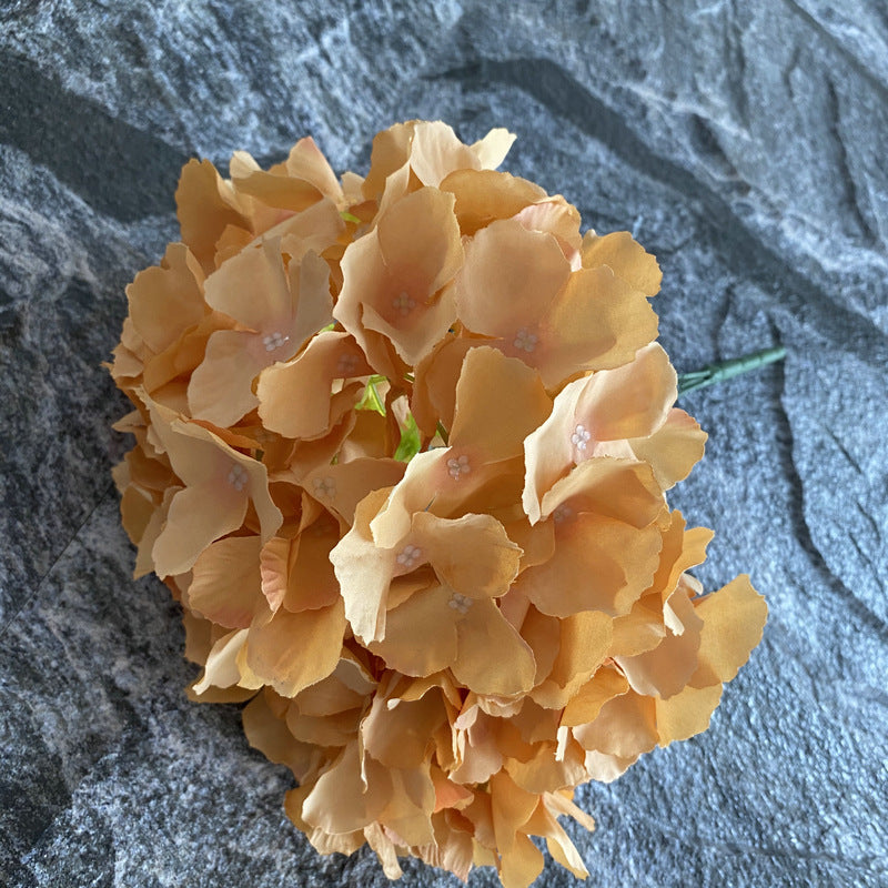 H0002 Hydrangea