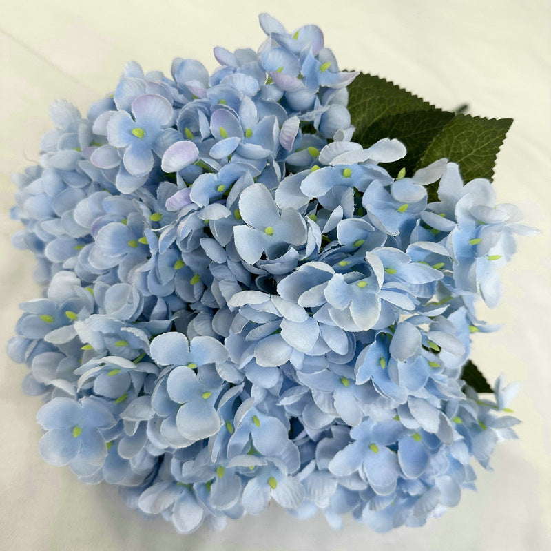 H0020 Hydrangea