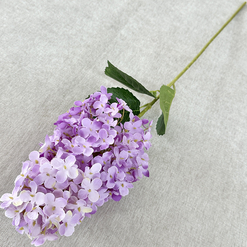 H0032 Hydrangea