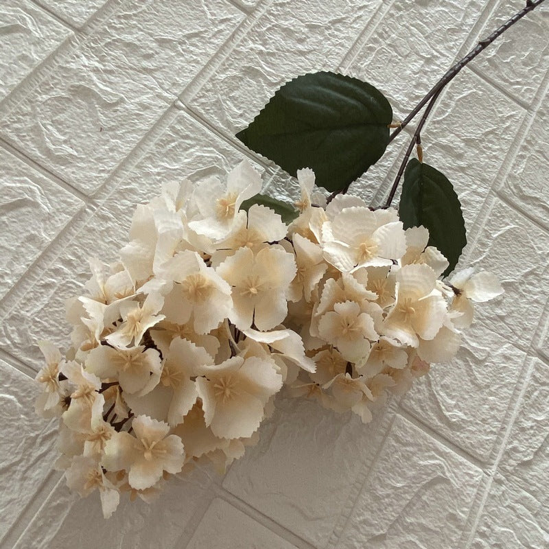 H0008 Hydrangea