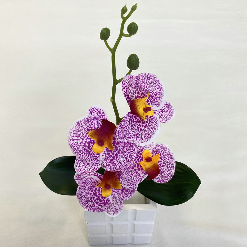 O0014 3D printed LS Phalaenopsis