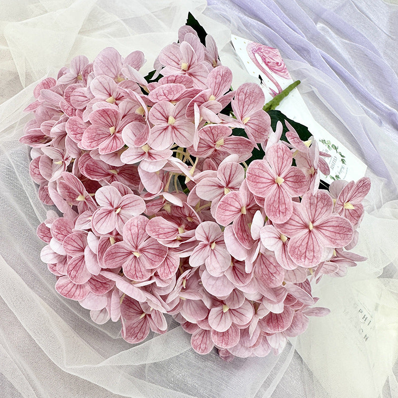 H0039 Hydrangea