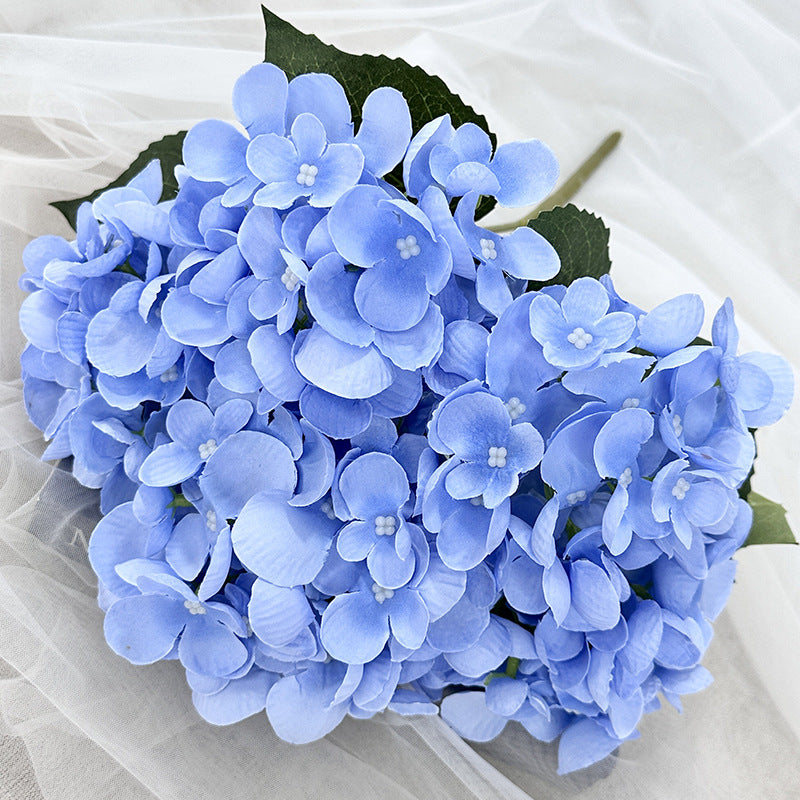 H0007 Hydrangea