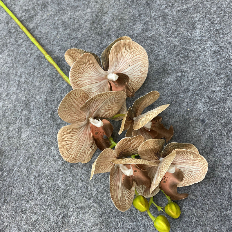 O0004 3D printed 5-head Phalaenopsis