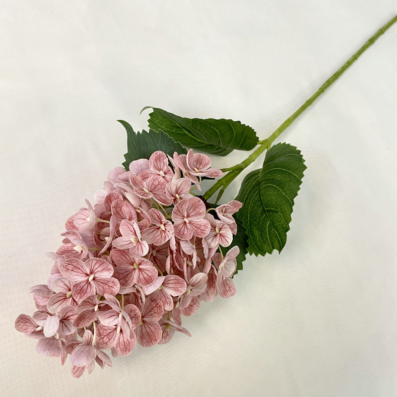 H0042 Hydrangea