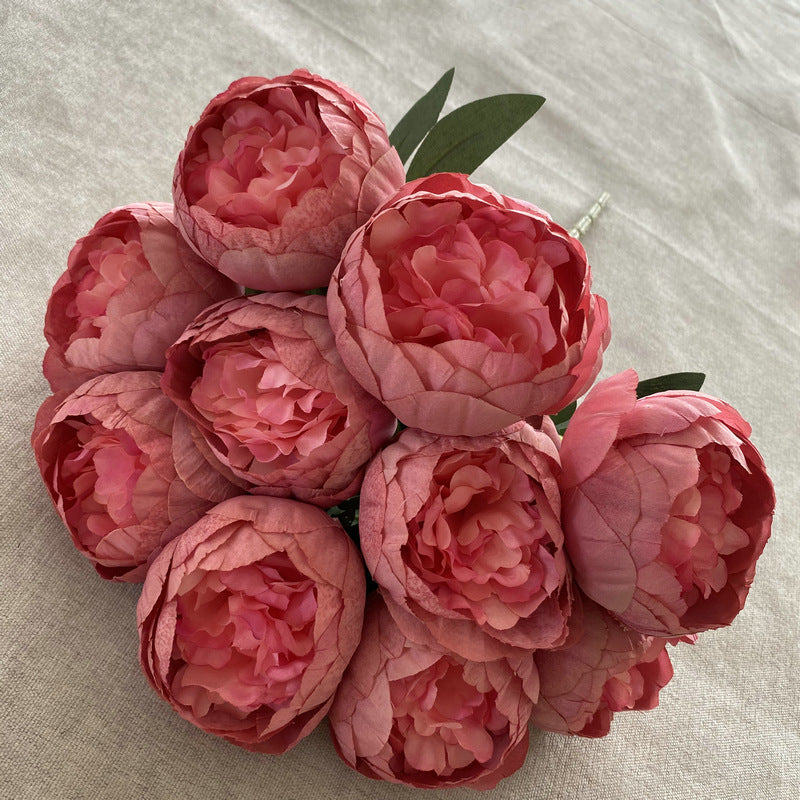 P0025 Ten round peonies