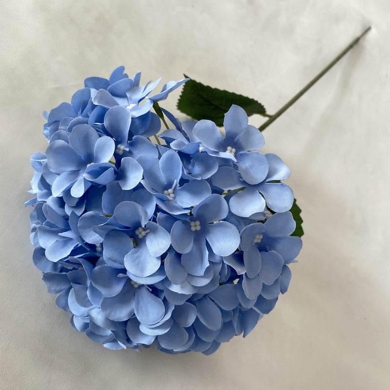 H0001 Hydrangea