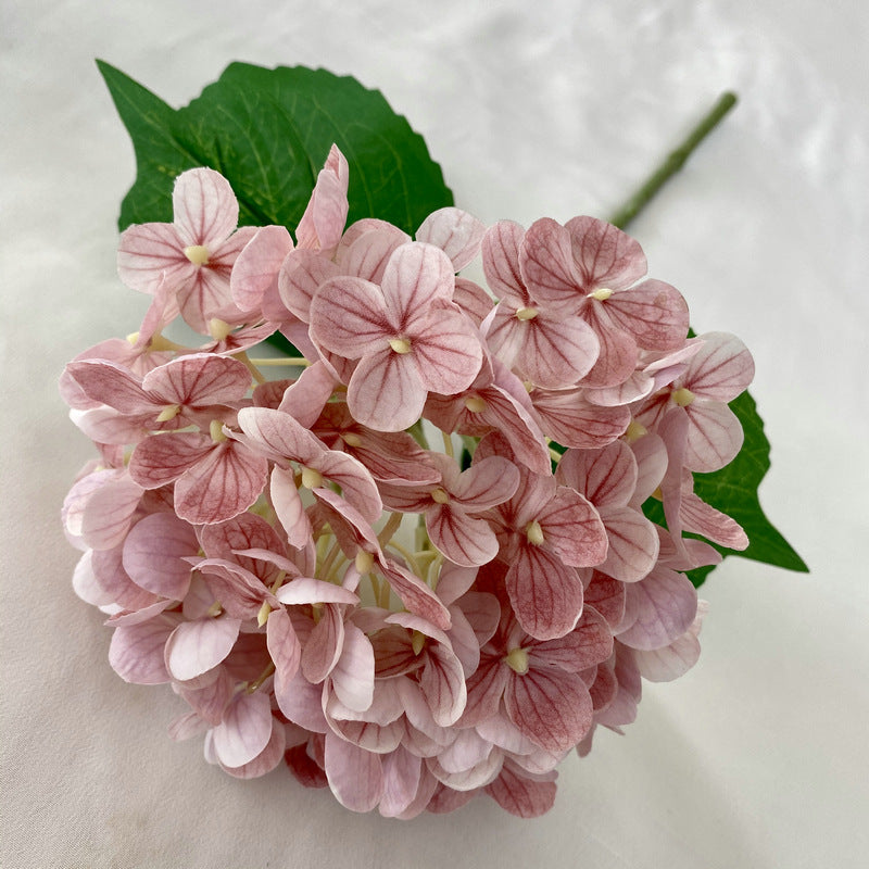 H0021 Hydrangea