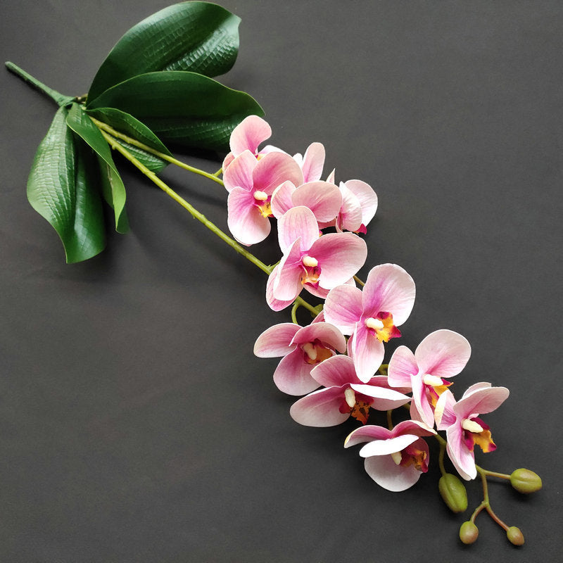 O0016 3D printed double-forked twelve-headed Phalaenopsis with leaves