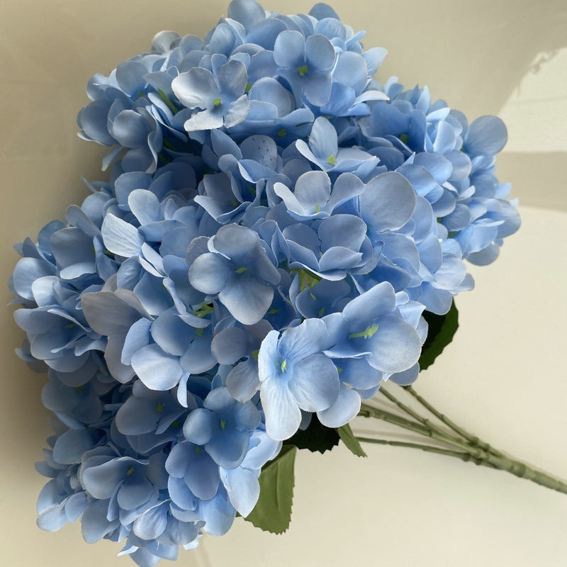 H0006 Hydrangea