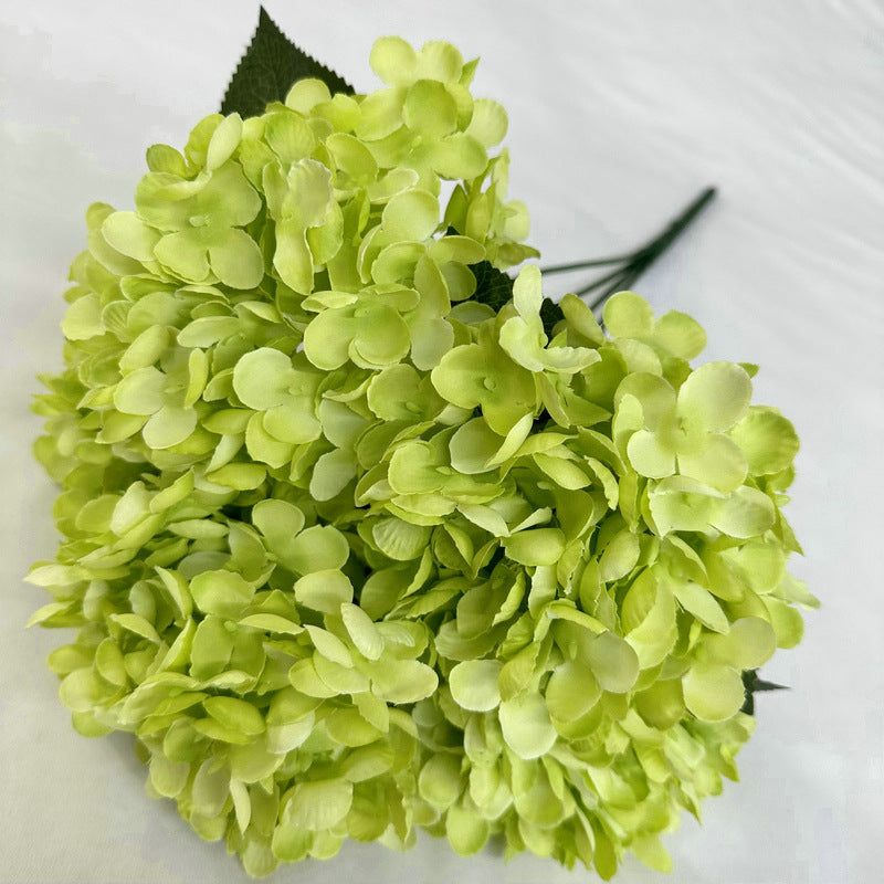 H0020 Hydrangea