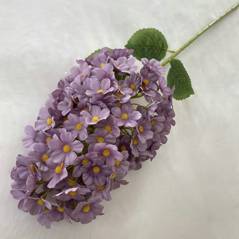 H0041 Hydrangea