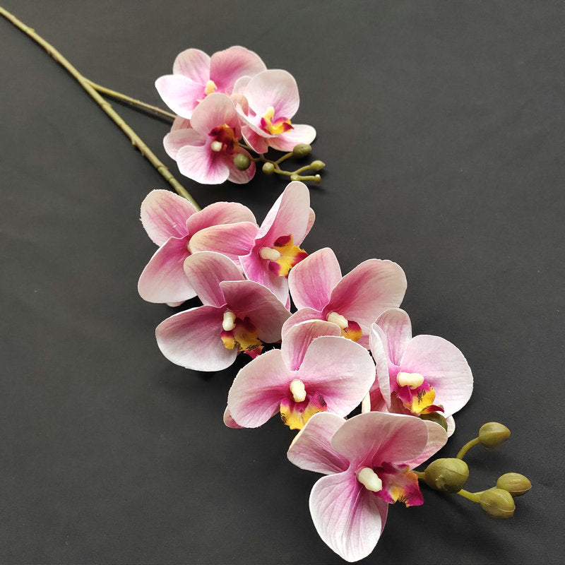 O0018 3D printed phalaenopsis with ten heads and two prongs