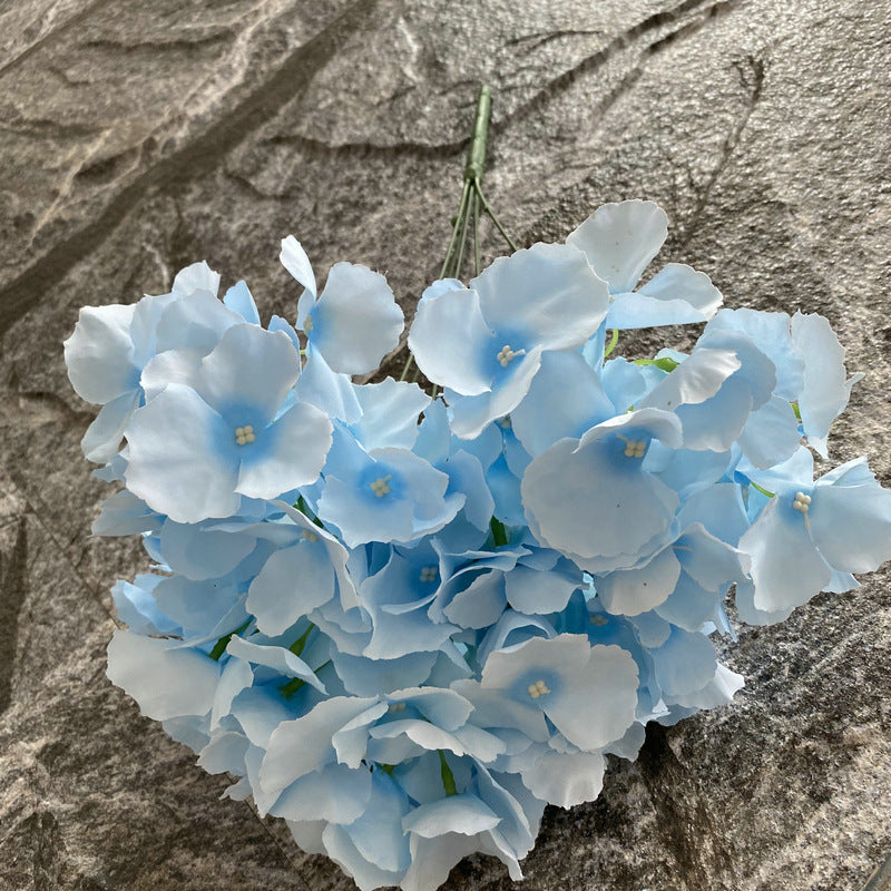 H0002 Hydrangea