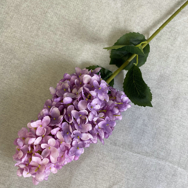 H0009 Hydrangea