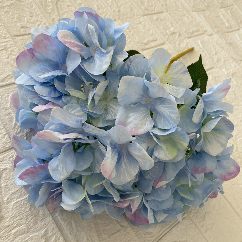 H0010 Hydrangea