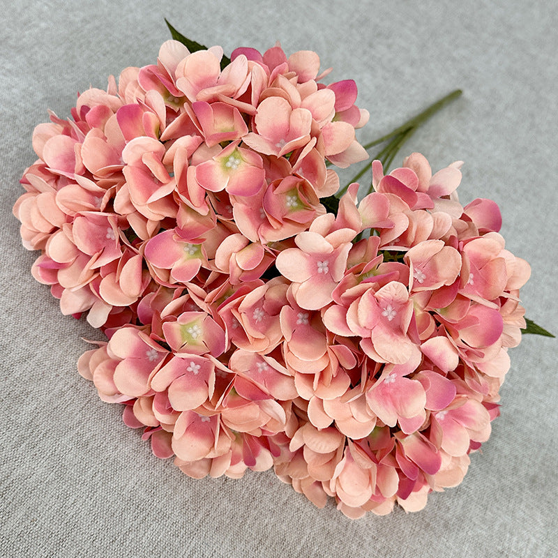 H0034 Hydrangea