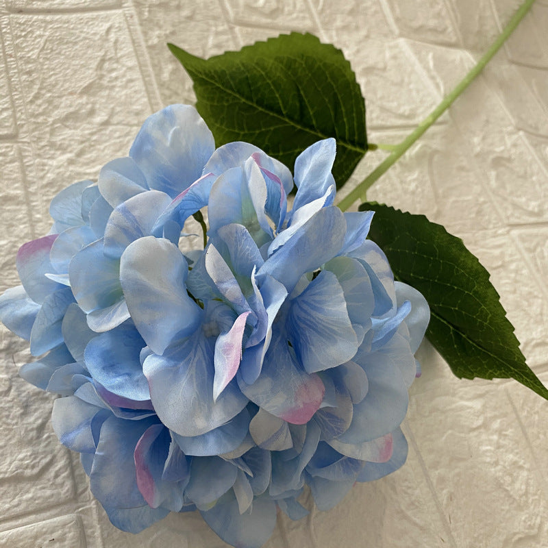 H0026 Hydrangea