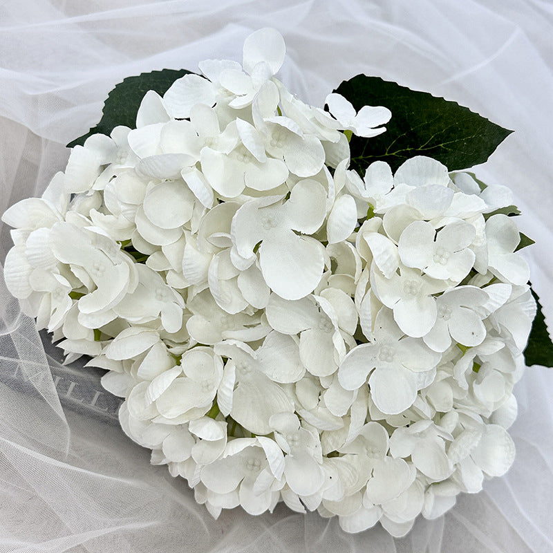 H0007 Hydrangea