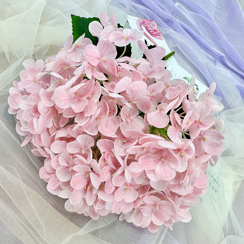 H0039 Hydrangea