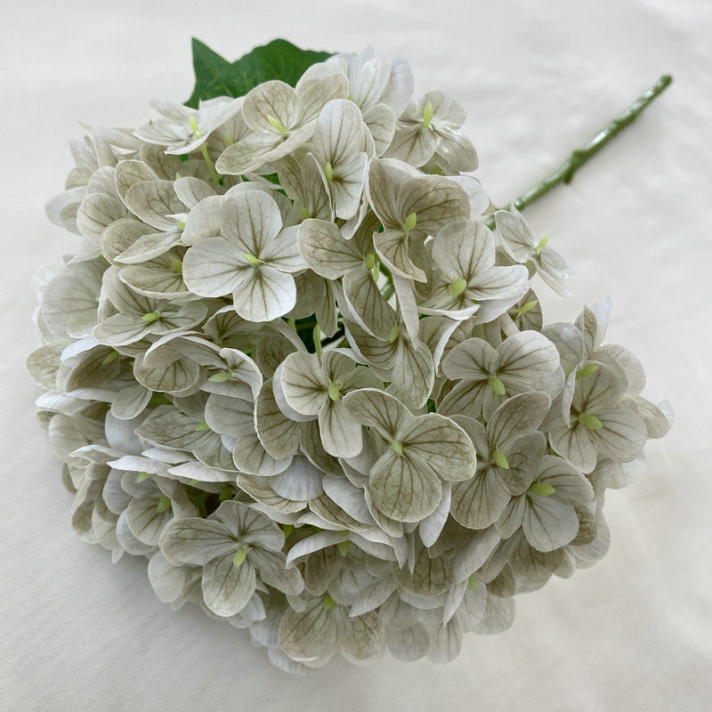 H0003 Hydrangea