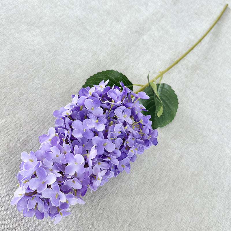 H0032 Hydrangea