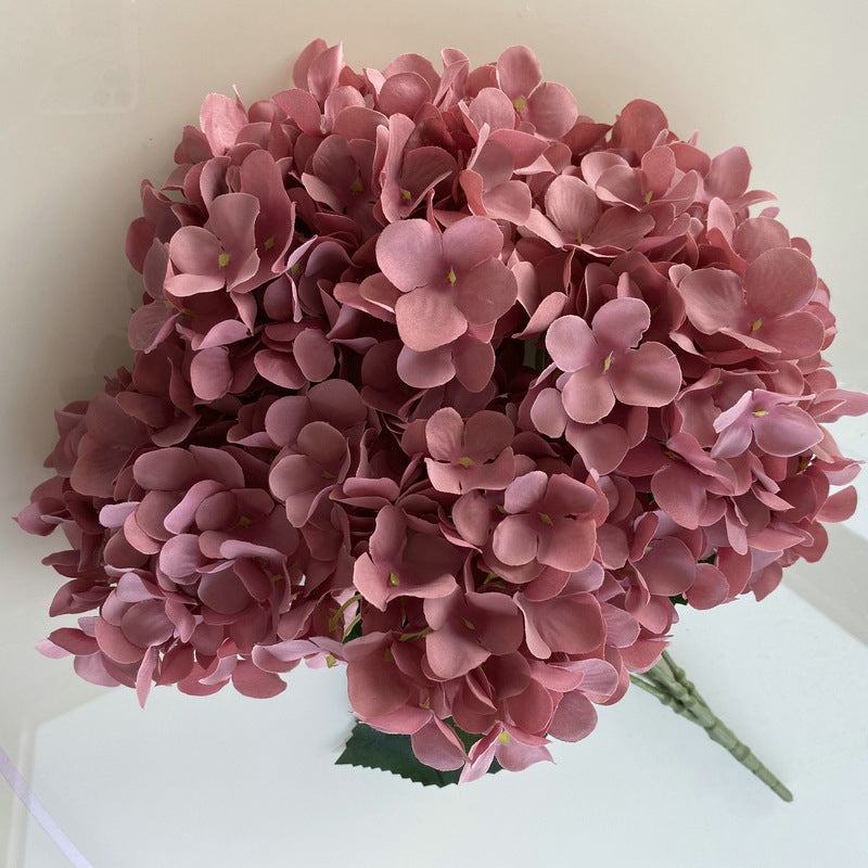 H0006 Hydrangea