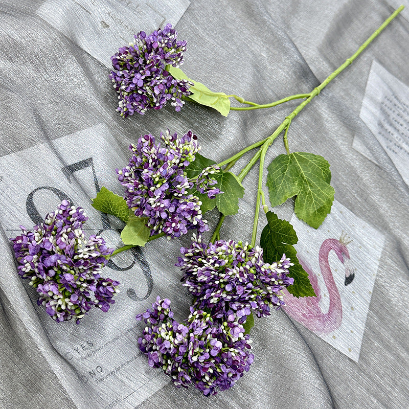 H0005 Hydrangea