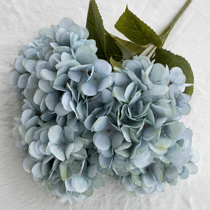 H0025 Hydrangea