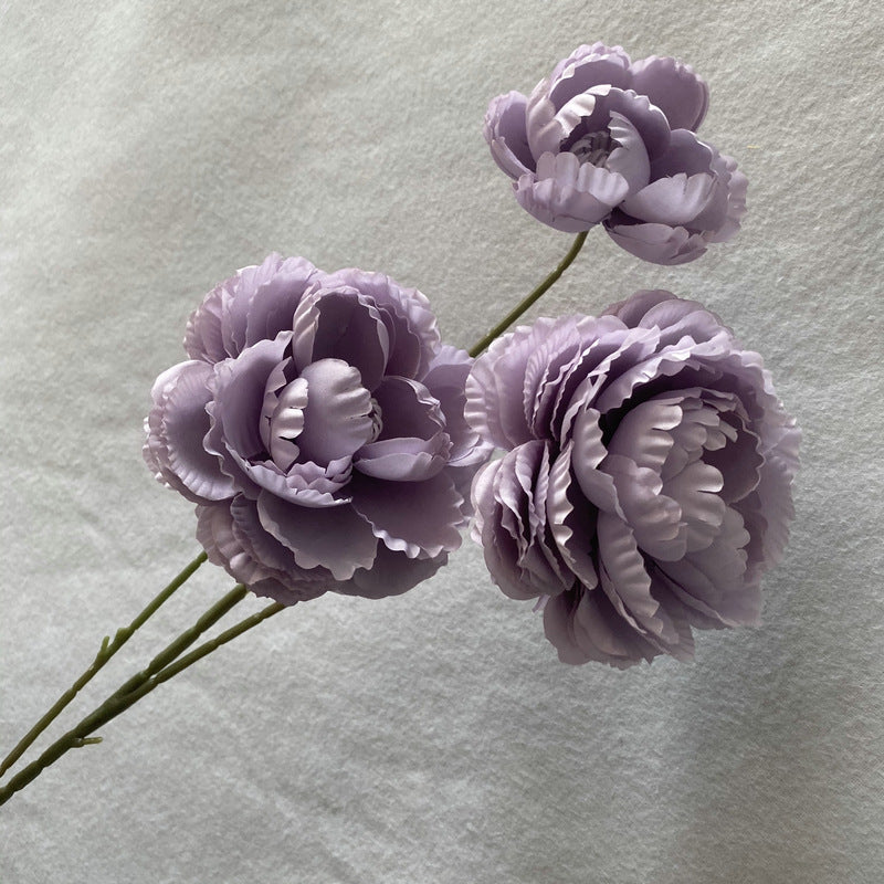 P0039 Brushed Cloth Puff Peony