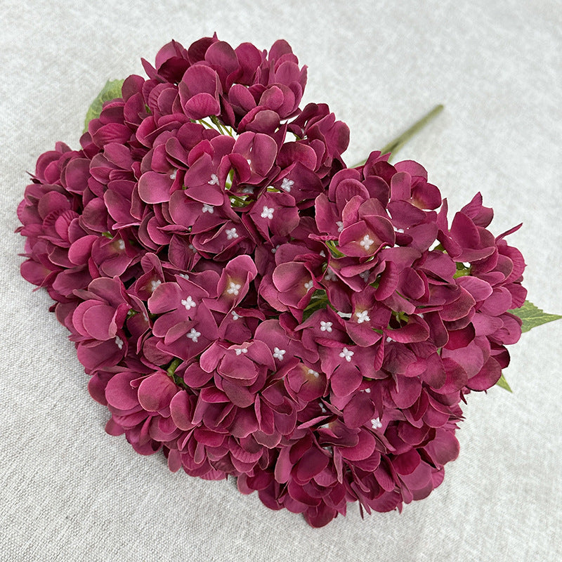 H0034 Hydrangea